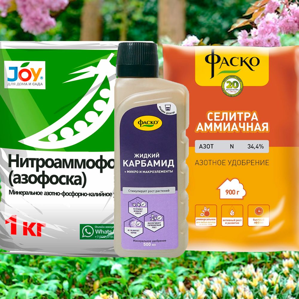 Весенние удобрения для многолетников